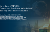 Tip-to-Base LAMPOON: Converting a Prohibitive Valve-in-MAC Anatomy Into a Successful TMVR
