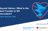 Beyond Valves: What is the Next Frontier in SH Innovation?
