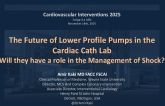 The Future of Low-Profile Pumps in the Cardiac Cath Lab