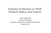 Embolic Protection in TAVR: Present Status and Future