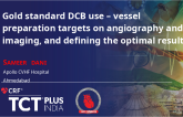 Gold standard DCB use – vessel preparation targets on angiography and imaging, and defining the optimal result
