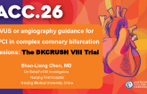 IVUS or angiography guidance for PCI in complex coronary bifurcation lesions: The DKCRUSH VIII Trial