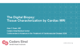The Digital Biopsy: Tissue Characterization by Cardiac MRI