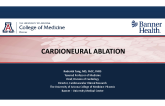 Cardioneural Ablation: A New Treatment Paradigm for Recurrent Vasovagal Syncope