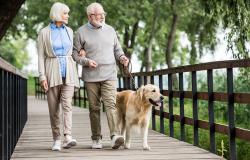 Procedural MIs Have Little Effect on Quality of Life: ISCHEMIA