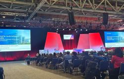 Loberamisal Scores a Rare Win for Stroke Neuroprotection