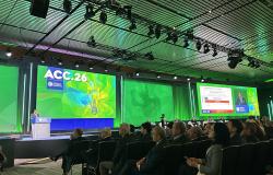 CHAMPION-AF: A Win for Watchman FLX, but With Caveats