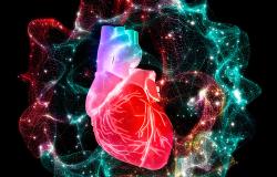 Two Conduction-System Pacing RCTs Give Conflicting Results