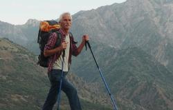 CTO PCI Reduces Symptoms, Improves Quality of Life: Meta-Analysis