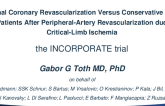 Intentional Coronary Revascularization Versus Conservative Therapy in Patients, who Underwent Successful Peripheral Artery Revascularization due to Critical Limb Ischemia - the INCORPORATE Randomized Clinical Trial