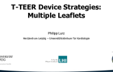 T-TEER Device Strategies: Multiple Leaflets