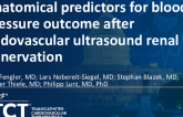 TCT 482: Anatomical Predictors for Blood Pressure Outcome After Endovascular Ultrasound Renal Denervation