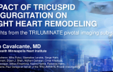 Impact of Tricuspid Regurgitation on Right Heart Remodeling: Insights From the TRILUMINATE Pivotal MRI and CT Imaging Substudy