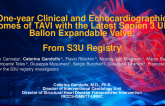 TCT 403: One-year Clinical and Echocardiographic Outcomes of TAVI with the Latest SAPIEN 3 ULTRA Balloon Expandable Valve: from the S3U Registry