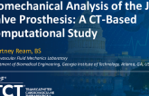 TCT 873: Biomechanical Analysis of the J-Valve Bioprosthesis: A CT-Based Computational Study