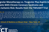 TCT 230: Ticagrelor Monotherapy vs. Ticagrelor Plus Aspirin in Patients With Chronic Coronary Syndrome and High Ischemic Risk: A Post-Hoc Analysis of the TWILIGHT Trial
