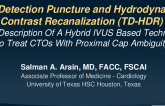 Tip Detection Puncture and Hydrodynamic Contrast Recanalization (TD-HDR): First Description of a Hybrid IVUS Based Technique to Treat Ambiguous Cap Coronary CTOs