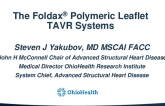 The Foldax Polymeric Leaflet TAVR Systems