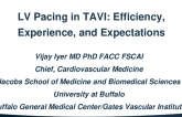 LV Pacing in TAVI: Efficiency, Experience, and Expectations