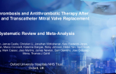 Valve Thrombosis and Antithrombotic Therapy After Surgical and Transcatheter Mitral Valve Replacement: A Systematic Review and Meta-Analysis