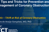 My Tips and Tricks for Prevention and Management of Coronary Obstruction