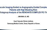 TCT 51: Intravascular Imaging-Guided vs Angiography-Guided Complex PCI in Patients With High Bleeding Risk: A Secondary Analysis of the RENOVATE-COMPLEX PCI Trial