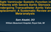 Right Ventricular Systolic Function in Patients with Severe Aortic Stenosis Undergoing Transcatheter Aortic Valve Replacement: A Systematic Review and Meta-analysis.