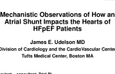 Mechanistic Observations of How an Atrial Shunt Impacts the Hearts of HFpEF Patients