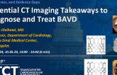 Essential CT Imaging Takeaways to Diagnose and Treat BAVD