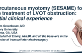 Initial Experience with Transcatheter Myotomy (SESAME) to Treat Hypertrophic Cardiomyopathy and Left Ventricular Outflow Obstruction