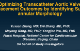 TCT 43: Optimizing Transcatheter Aortic Valve Replacement Outcomes by Identifying Supra-annular Morphology