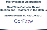 Microvascular Obstruction: New Developments in Cath-Lab based Detection, Diagnosis and Therapy Microvascular Obstruction: Catheter Based Detection and Treatment in the Cath Lab
