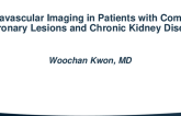TCT 108: Intravascular Imaging-Guided Percutaneous Coronary Intervention in Patients with Complex Coronary Lesions and Chronic Kidney Disease
