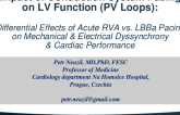 Impact of Conduction System Pacing on LV Function (PV Loops)