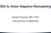 DES to Allow Adaptive Remodeling
