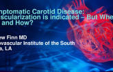 Pro vs. Con, Asymptomatic Carotid Disease: Revascularization Is Indicated – But When, Why, and How?