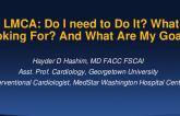 Intravascular Imaging in LMCA: Do I Need to Do It, What Am I Looking for, and What Are My Goals?