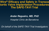 TCT 353: SAvvyWire™ Efficacy and Safety in Transcatheter Aortic Valve Implantation Procedures Trial