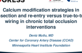 TCT 98: Calcium modification strategies in dissection and re-entry versus wiring techniques in chronic total occlusion percutaneous coronary intervention