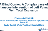 A Blind Corner: A Complex Case of Percutaneous Intervention of Left Pulmonary Vein Total Occlusion