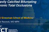 TCT 1595: Heavily Calcified Bifurcating Chronic Total Occlusions
