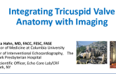 Integrating Tricuspid Anatomy With Imaging
