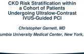 TCT 505: CKD Risk Stratification Within a Cohort of Patients Undergoing Ultralow-contrast IVUS-Guided PCI