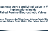 Transcatheter Aortic and Mitral Valve in Valve Implantations Inside Failed Porcine Bioprosthetic Valves