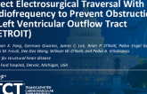 TCT 1525: Direct Electrosurgical Traversal With Radio-Frequency to Prevent Obstruction in Left Ventricular Outflow Tract (DETROIT)
