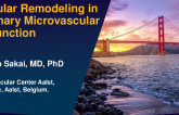 TCT 326: Vascular Remodeling in Coronary Microvascular Dysfunction