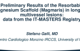 TCT 141: Preliminary Results of the Resorbable Magnesium Scaffold (Magmaris) in long and multivessel lesions: data from the IT-Masters registry