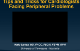 Keynote Lecture: My Tips and Tricks for Cardiologists Facing Peripheral Problem