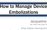 A Rare but Challenging Complication: How to Manage Device Embolizations (A Case-based Presentation)