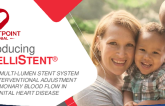 Novel Multilumen Stent System for Interventional Adjustment of Pulmonary Blood Flow in Congenital Heart Disease (Heartpoint Global Intellistent)